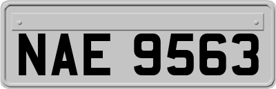 NAE9563