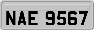 NAE9567