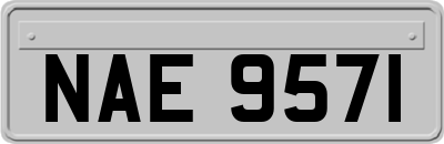 NAE9571