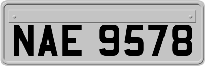 NAE9578