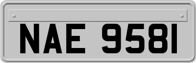 NAE9581