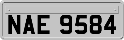 NAE9584