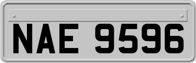 NAE9596