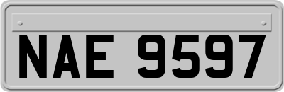 NAE9597