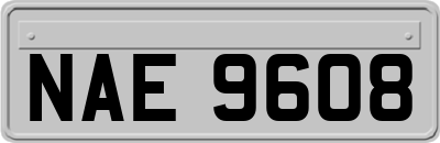 NAE9608