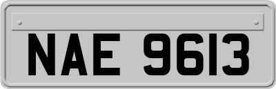 NAE9613