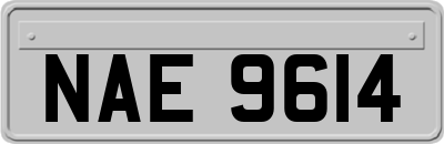 NAE9614