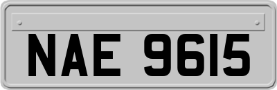 NAE9615