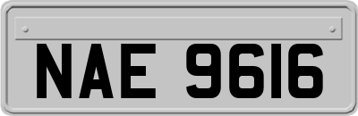 NAE9616