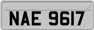 NAE9617