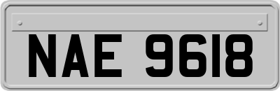 NAE9618