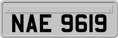 NAE9619