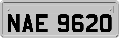 NAE9620