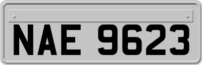 NAE9623