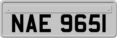 NAE9651