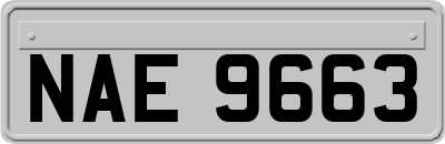 NAE9663