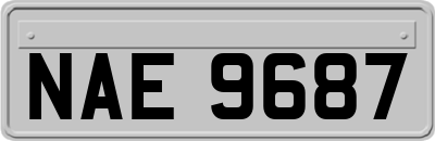 NAE9687