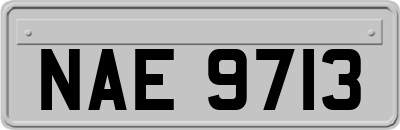 NAE9713