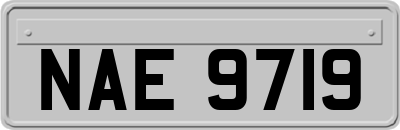 NAE9719