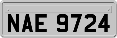 NAE9724