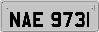 NAE9731