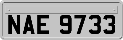 NAE9733