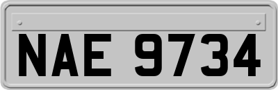 NAE9734