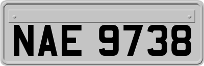 NAE9738