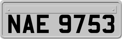 NAE9753