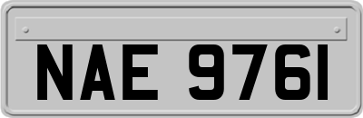 NAE9761