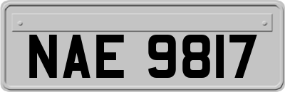 NAE9817