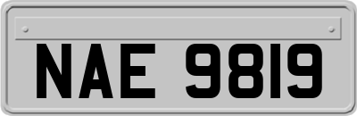 NAE9819