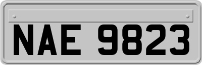 NAE9823