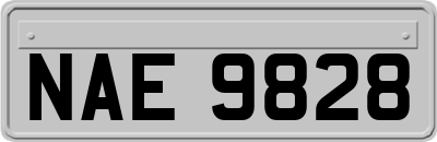 NAE9828