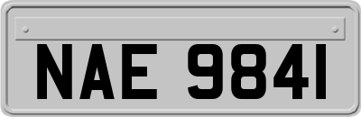 NAE9841