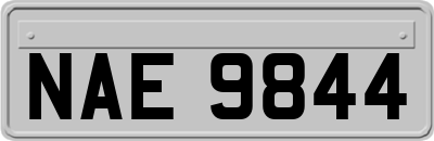 NAE9844