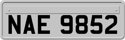 NAE9852