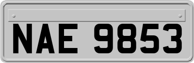 NAE9853