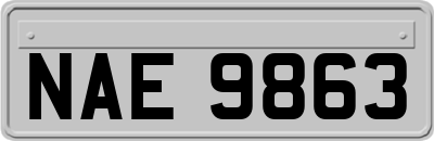 NAE9863