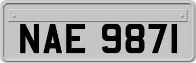 NAE9871