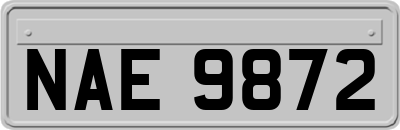 NAE9872