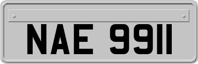 NAE9911