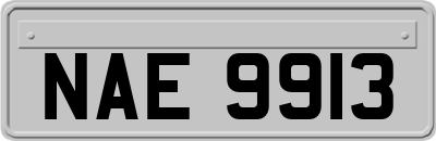 NAE9913