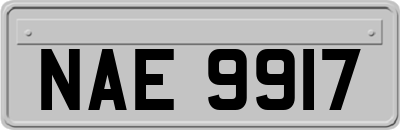 NAE9917