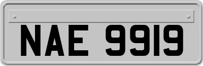 NAE9919