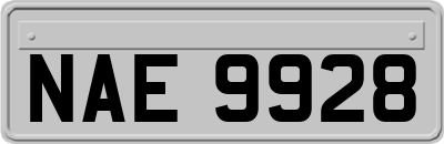 NAE9928