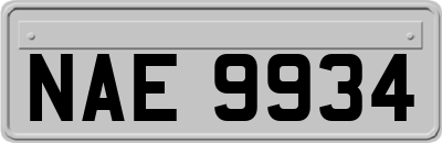 NAE9934