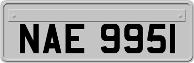 NAE9951