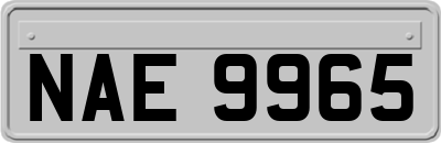 NAE9965