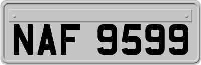 NAF9599